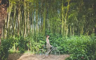 Bambookoa: Bicicletas Artesanales de Bambú
