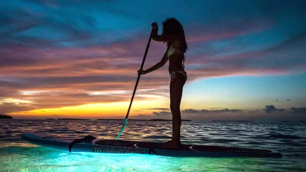 Comparativa Definitiva de Tablas de Paddle Surf 2024: ¡Encuentra la Tuya!